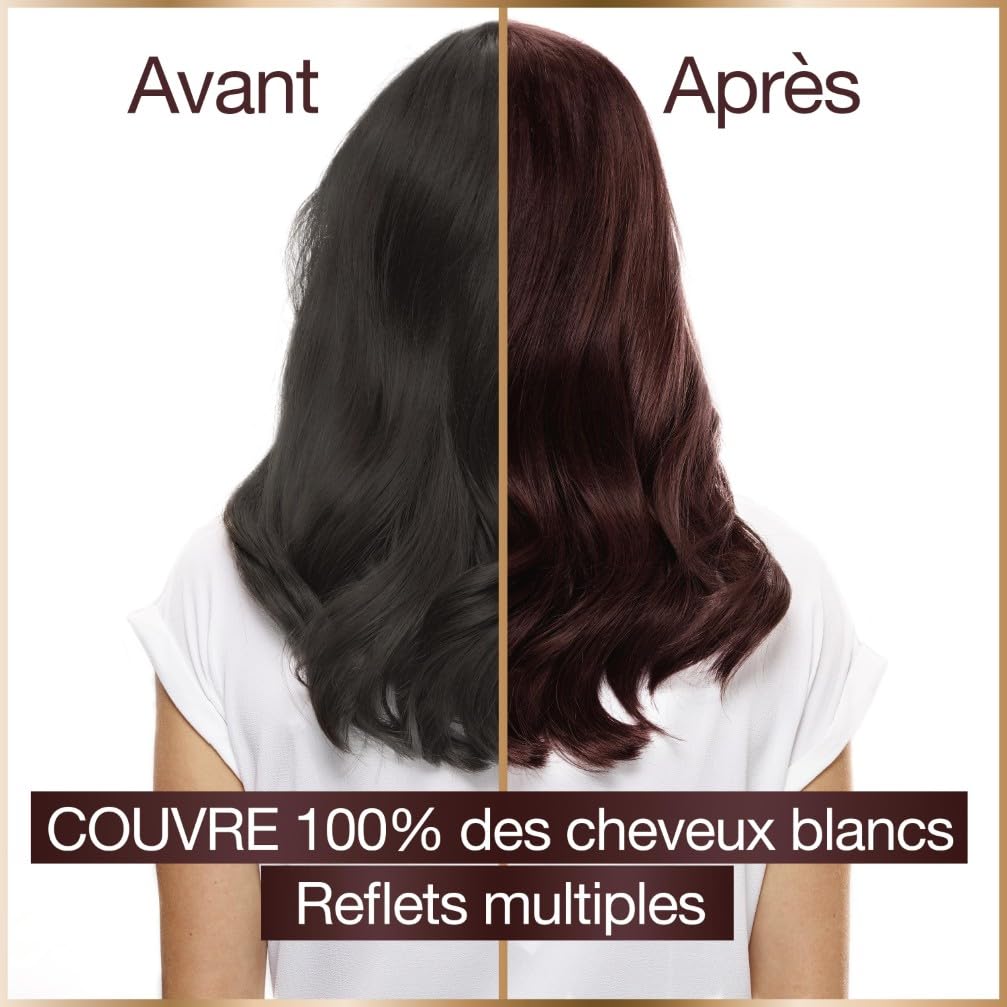 garnier-good-coloration-permanente-sans-ammoniaque-4-52-ch-tain-acajou-prune image 2