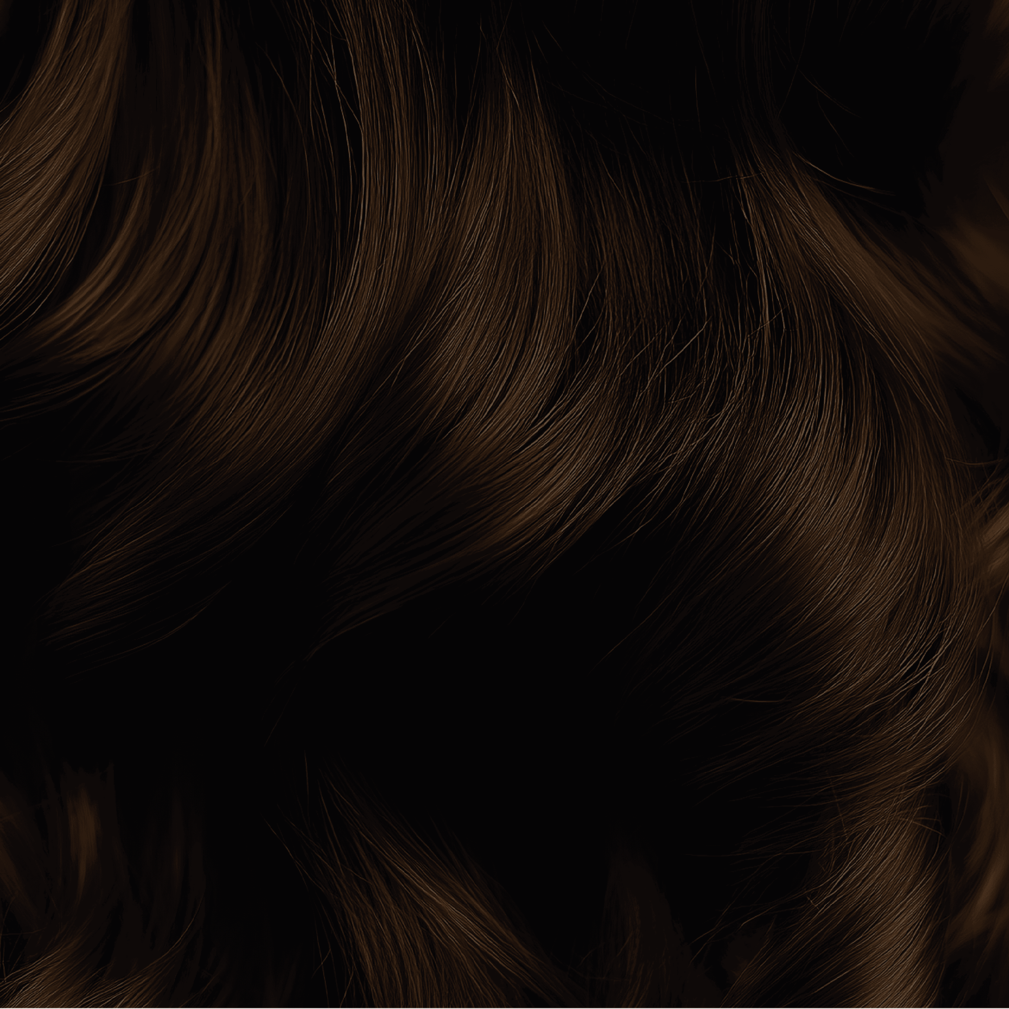 eug-ne-color-color-clat-4-53-chocolat-coloration-domicile image 4