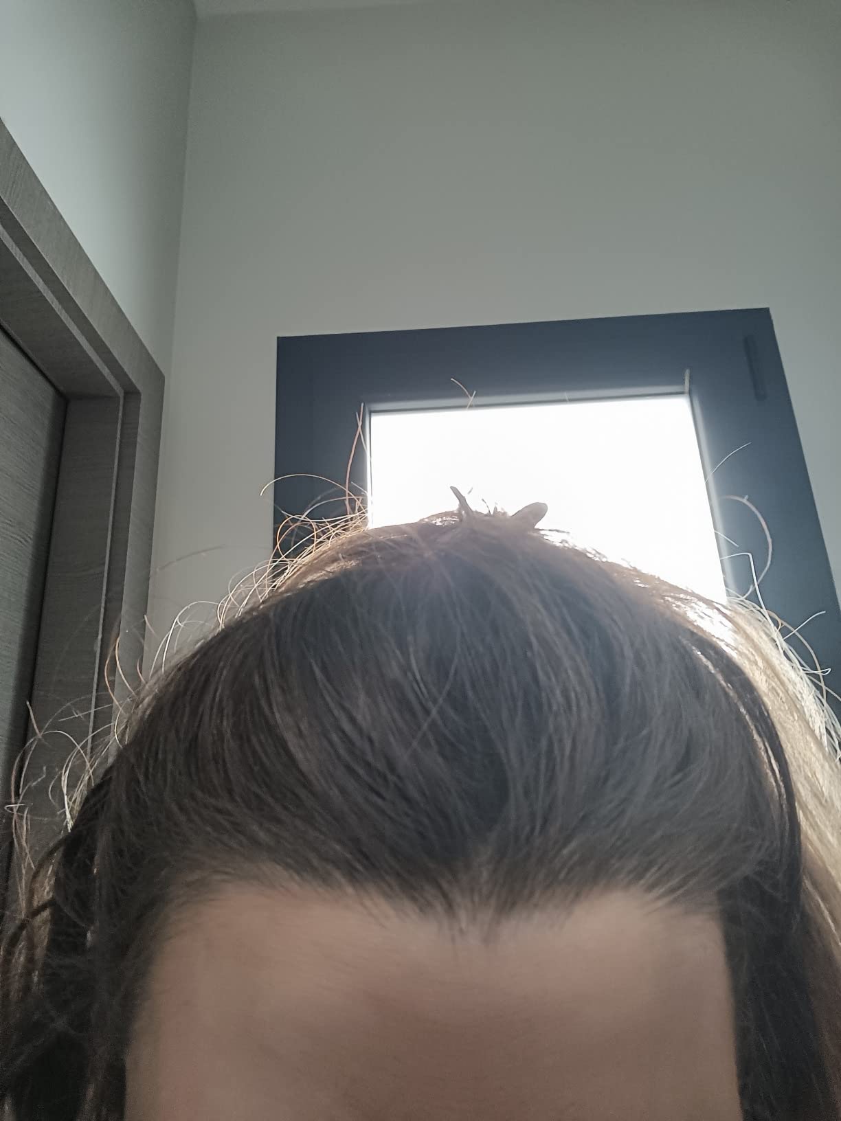 Adieu cheveux blancs entre colos